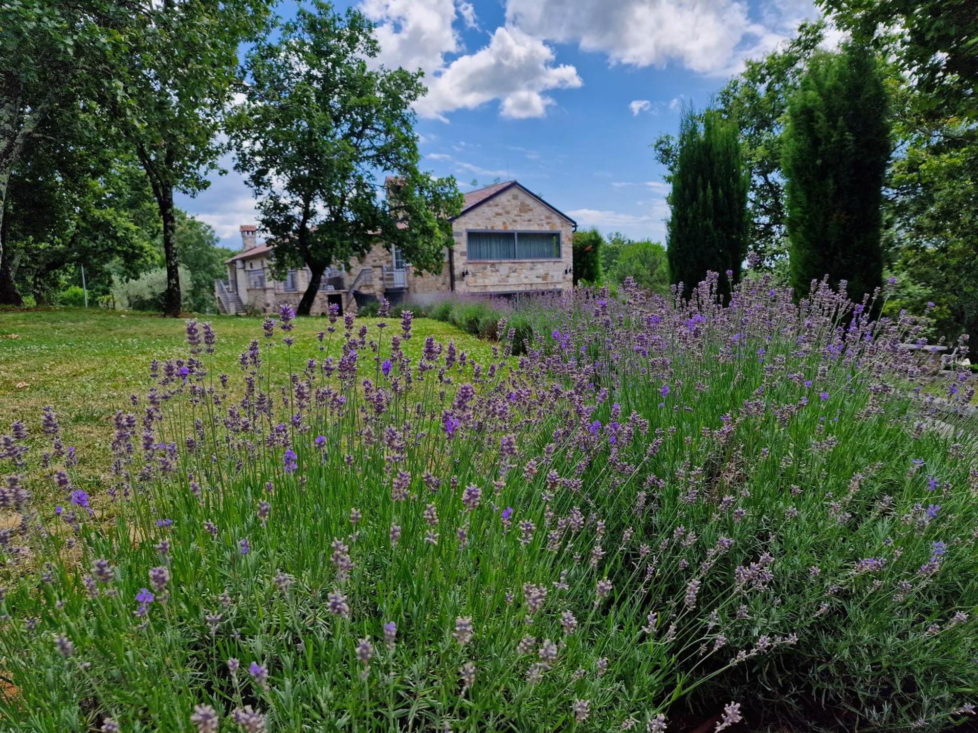 Oprtalj Stancija Ruseti Bed & Breakfast エクステリア 写真