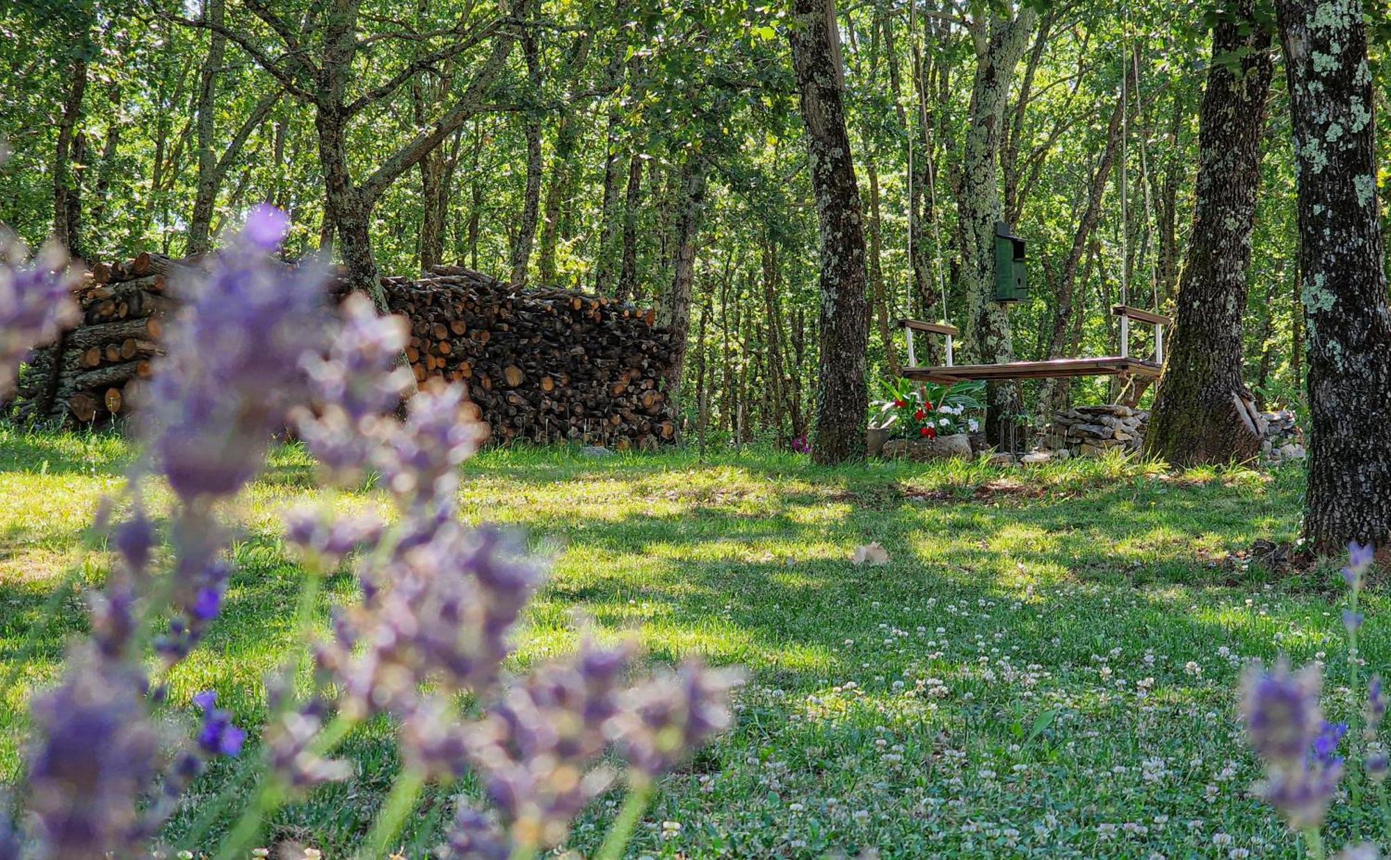 Oprtalj Stancija Ruseti Bed & Breakfast エクステリア 写真