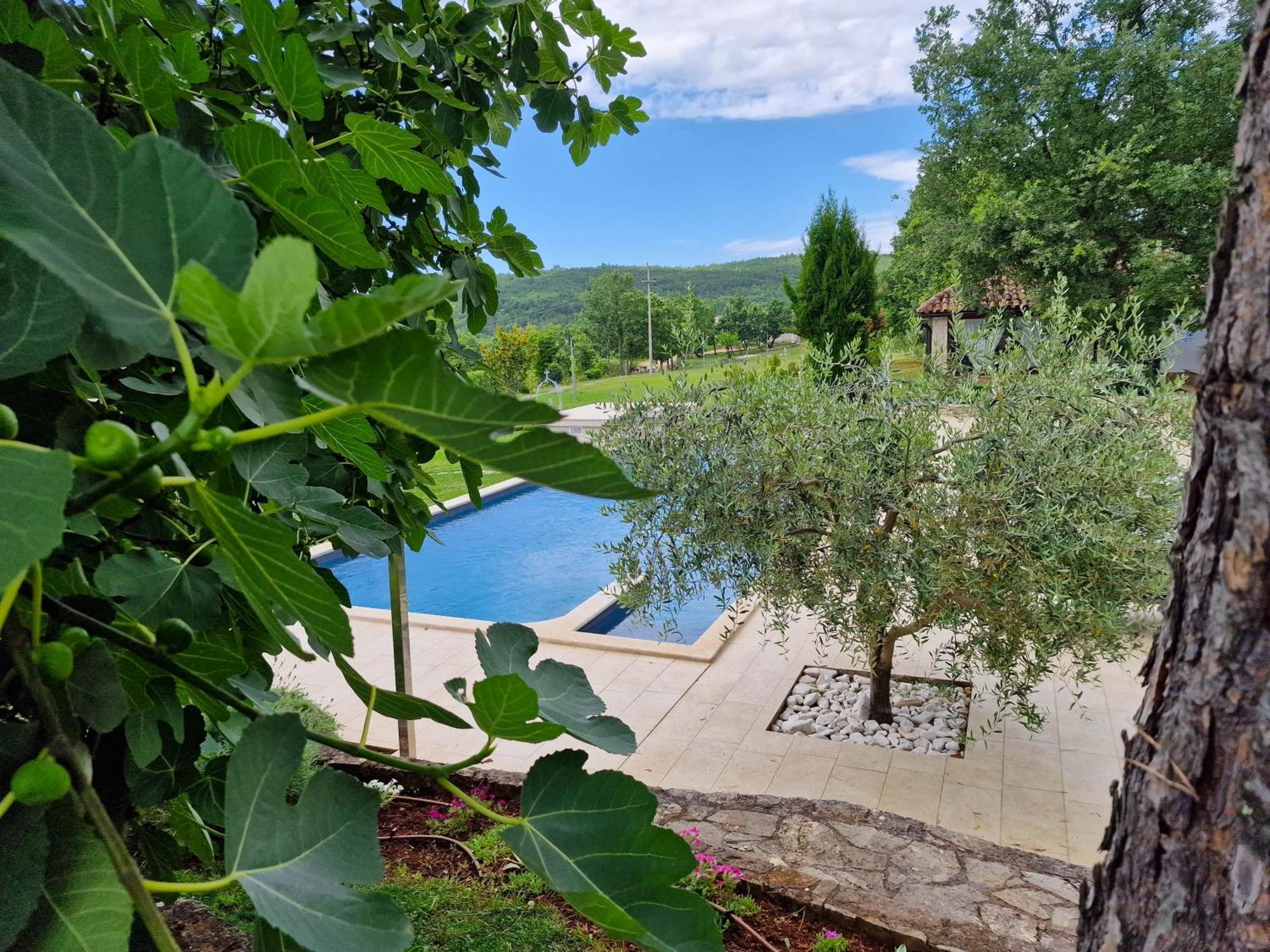 Oprtalj Stancija Ruseti Bed & Breakfast エクステリア 写真